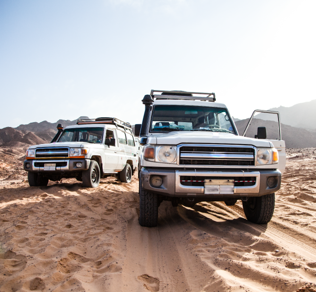 Land Cruisers off-road